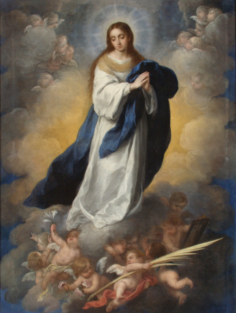 The Virgin Mary is the Holy Spirit of Woman. We confuse the Holy Spirit and think it is an Angel. You are all the angels of Heaven. 